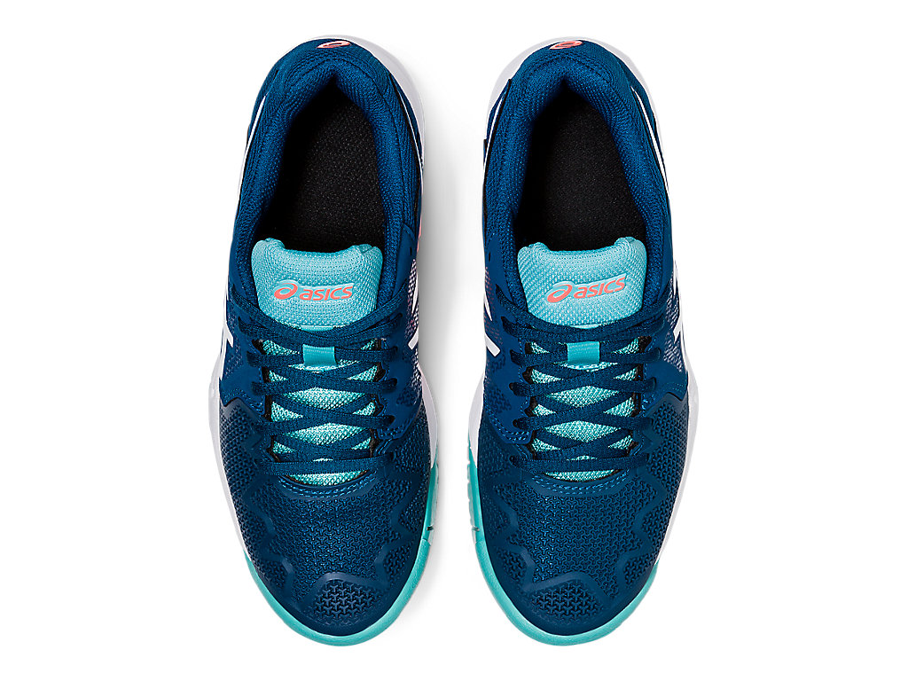 Gel-Resolution 8 GS Mako Blue