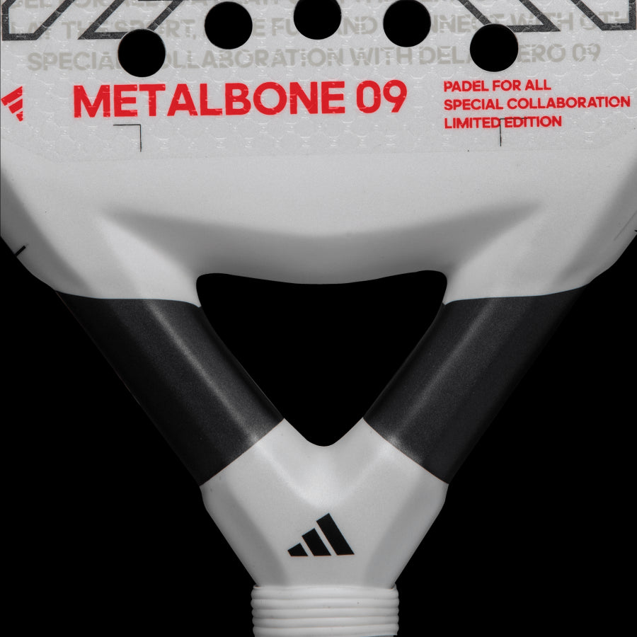 Metalbone 09 LTD